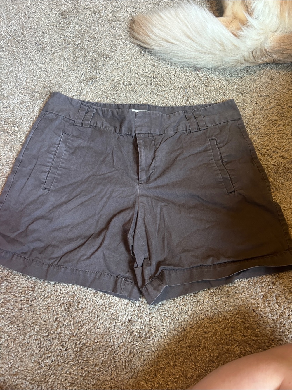 LOFT Brown Taupe Cotton-Blend Bermuda Shorts